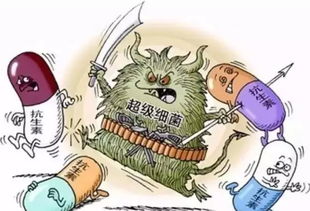 無抗養殖 衡量水產未來的天平，抗生素扮演關鍵砝碼