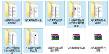 第十一季呼吸疾病感染與抗生素應用專題精品課件深度解析